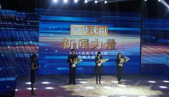 沈阳精彩爆料新闻视频,揭秘视频背后的惊人真相  第1张